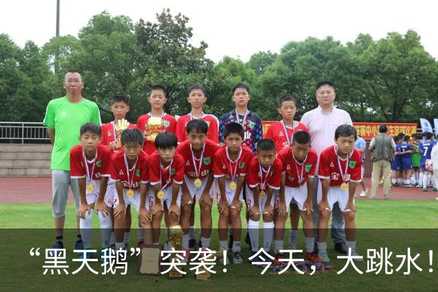 “黑天鹅”突袭！今天，大跳水！