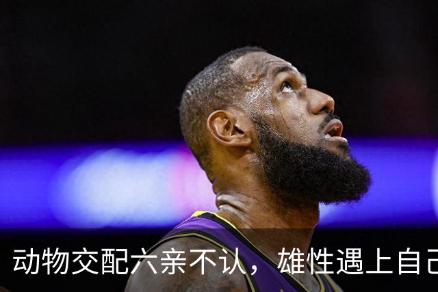 动物交配六亲不认，雄性遇上自己母亲怎么办？马不欺母是真的吗？