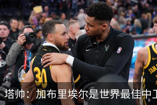 塔帅：加布里埃尔是世界最佳中卫之一，他在两个禁区的作用太强了