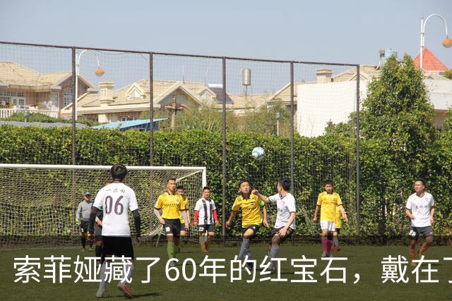 索菲娅藏了60年的红宝石，戴在了20岁王储妃身上，是疼人还是交权？