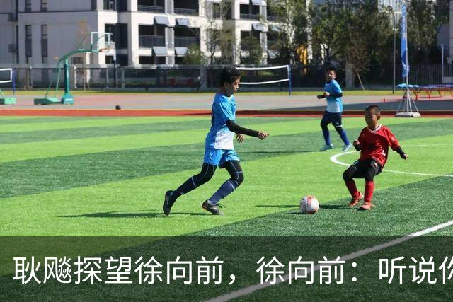 耿飚探望徐向前，徐向前：听说你把杨得志和罗瑞卿都弄到沟里了？