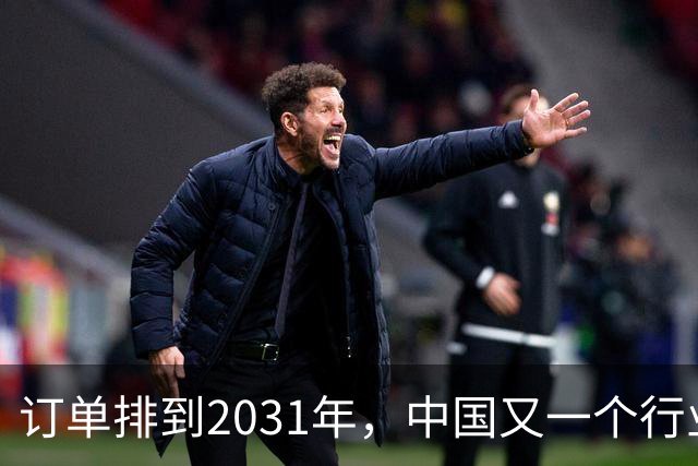 订单排到2031年，中国又一个行业全球爆单