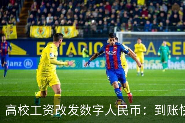 高校工资改发数字人民币：到账快半小时，钱留不住半天