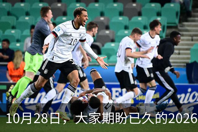 10月28日，大家期盼已久的2026退休养老金，究竟涨还是不涨？